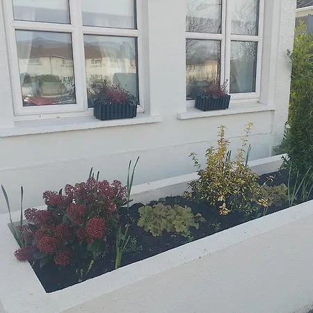 Shauna's 3* Waterford